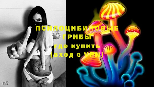 гидропоника Вяземский