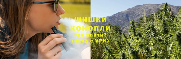 гидропоника Вяземский