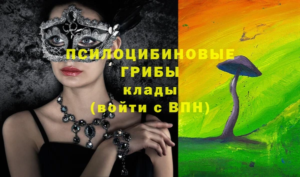 гидропоника Вяземский